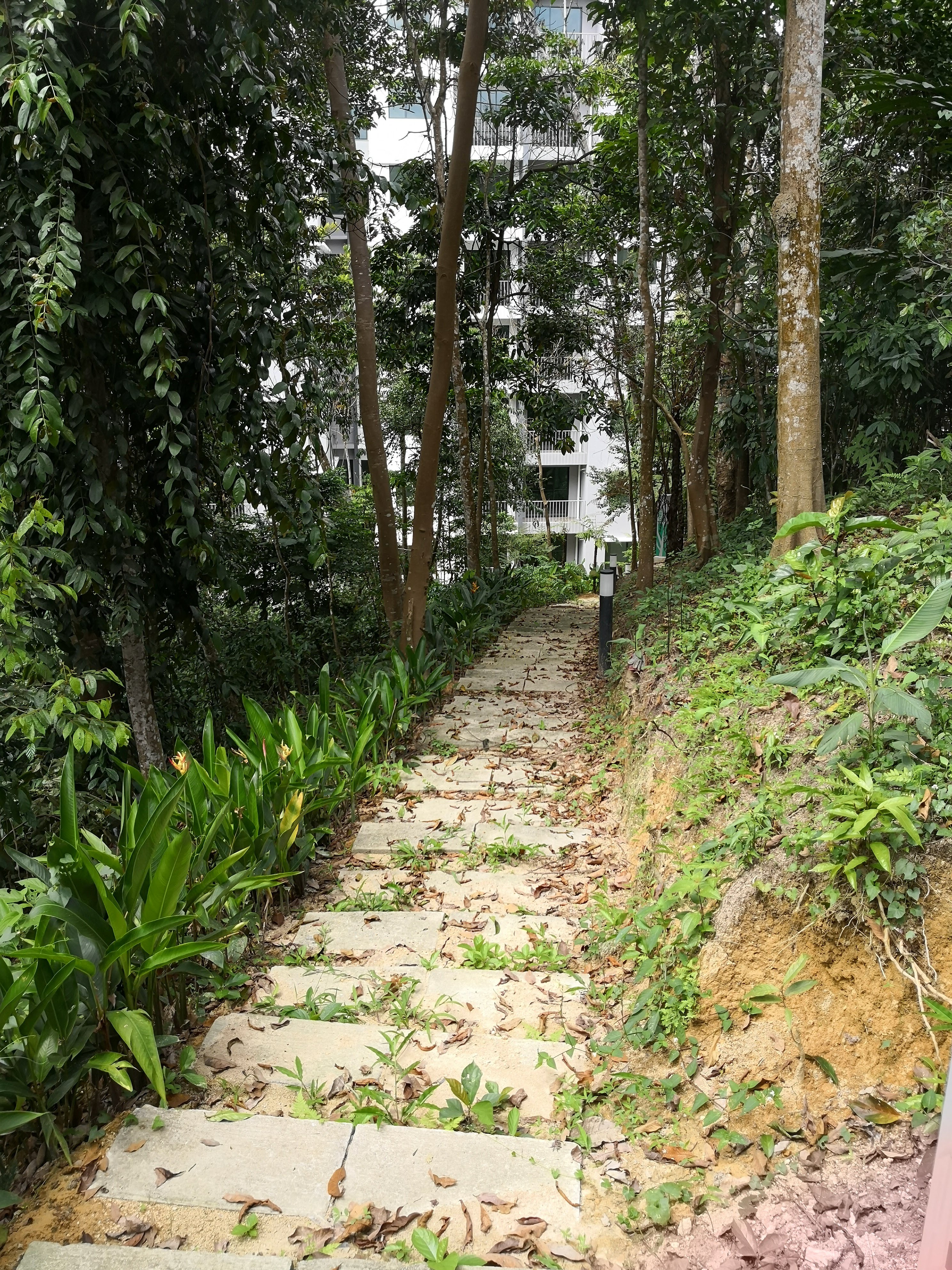 Suterapine condo sungai long image