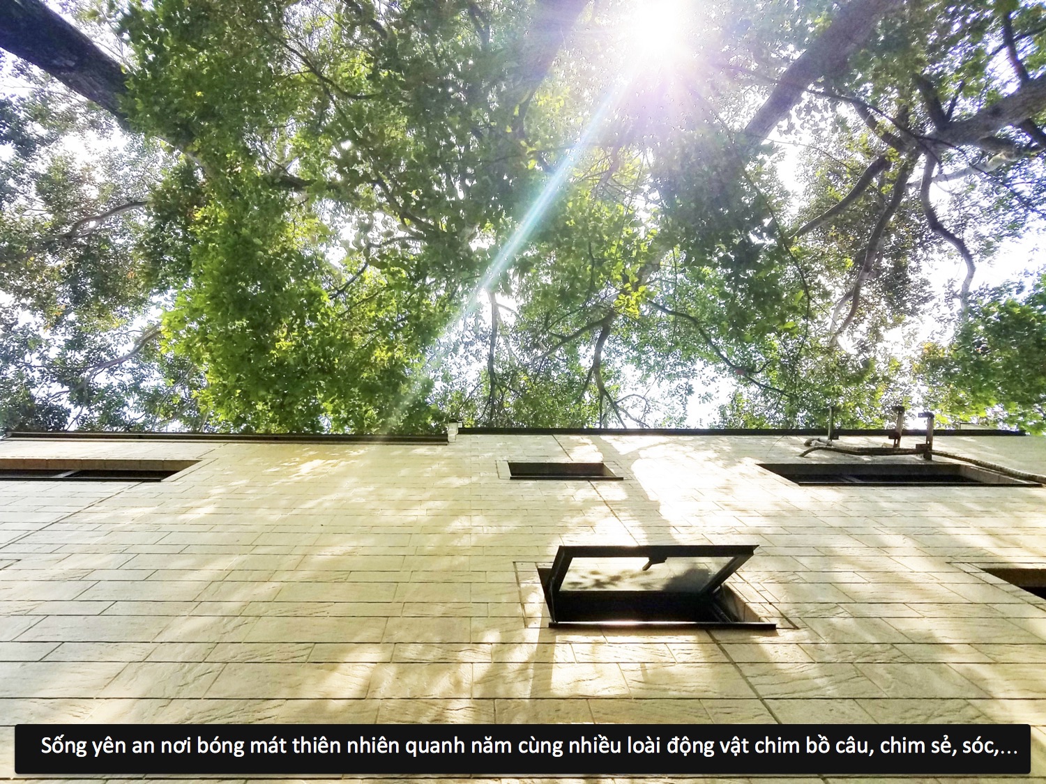 VILLA NHẬT, CĂN GÓC 3 MẶT TIỀN, CHUẨN NHẬT, NỘI THẤT CAO CẤP image