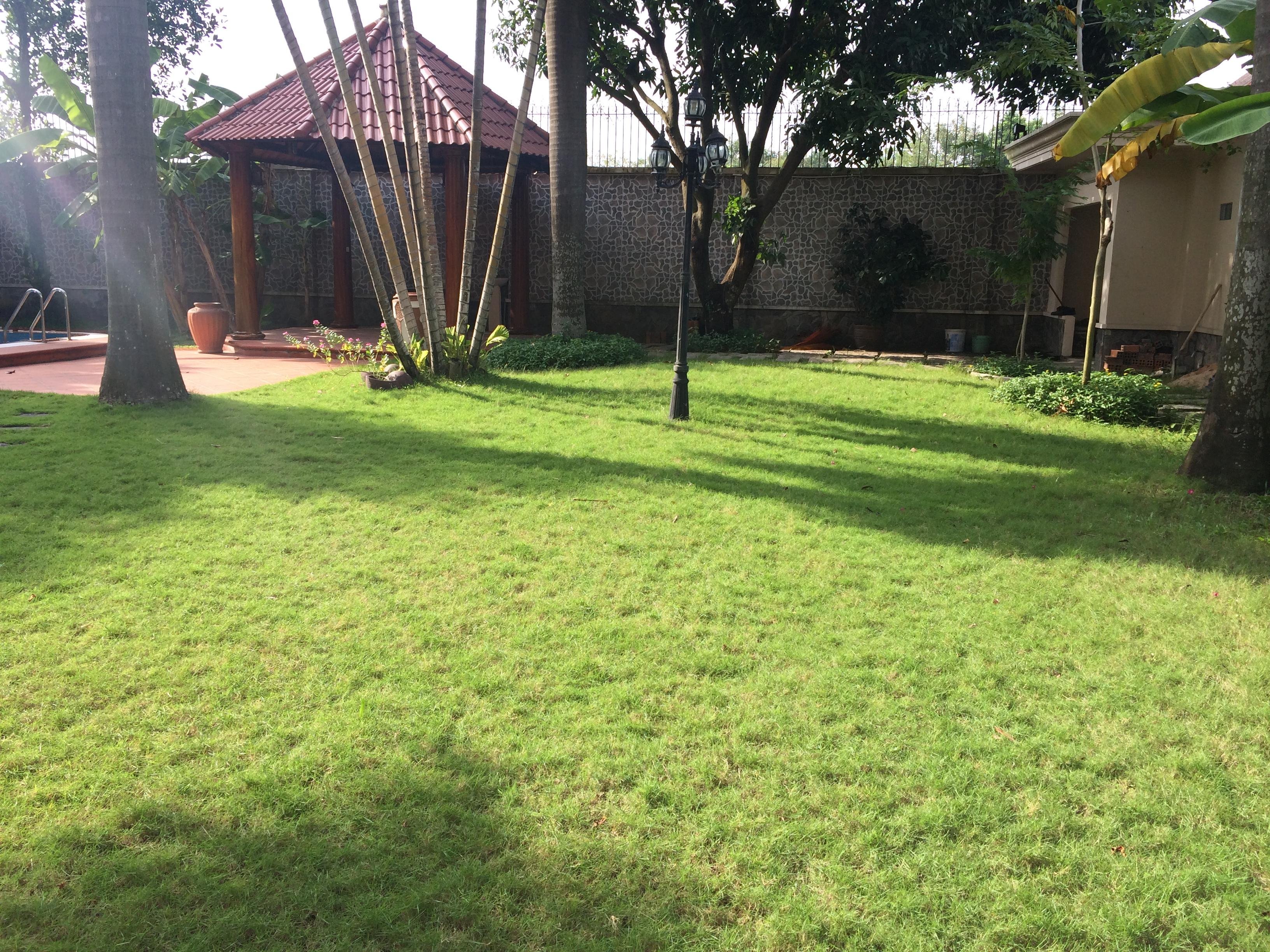 BIỆT THỰ THẢO ĐIỀN, CÓ HÒ BƠI RIÊNG, ĐANG CÓ HĐ THUÊ $14000 image