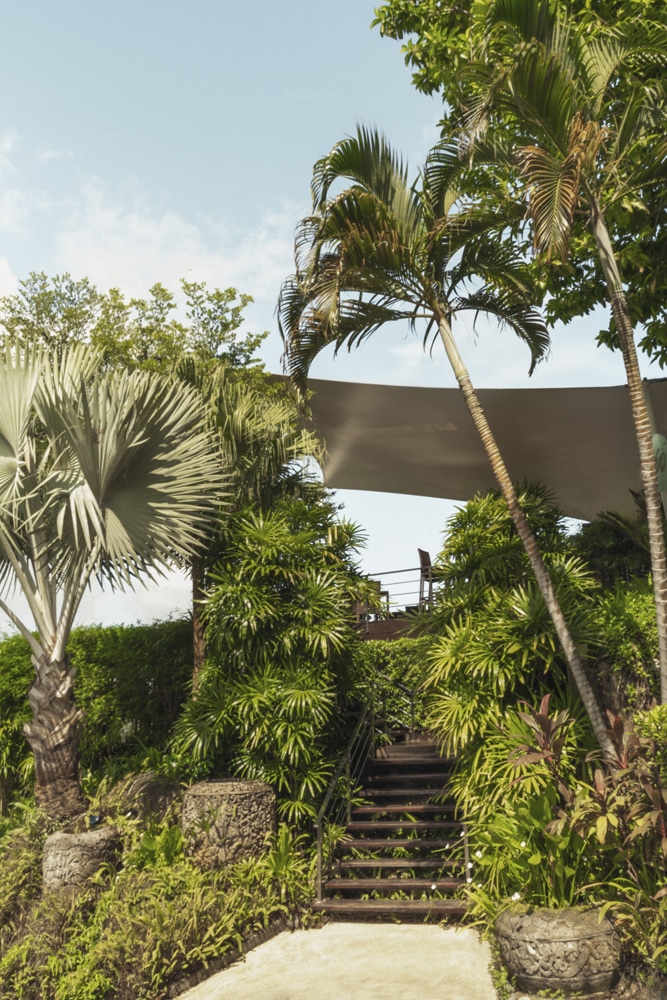 Luxury Tropical  3 Bedroom Villa (SUP-1027) image