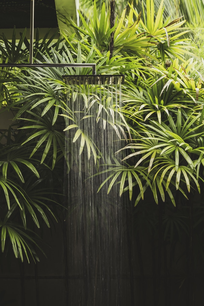 Luxury Tropical  3 Bedroom Villa (SUP-1027) image