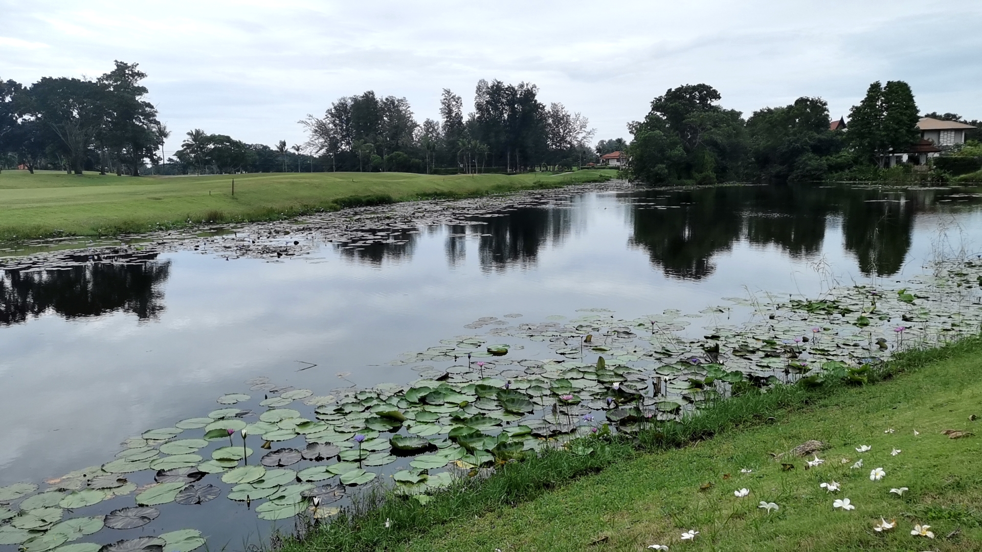 Luxury modern two-storey lake view pool villa in Laguna Homes (SUC-1057) image
