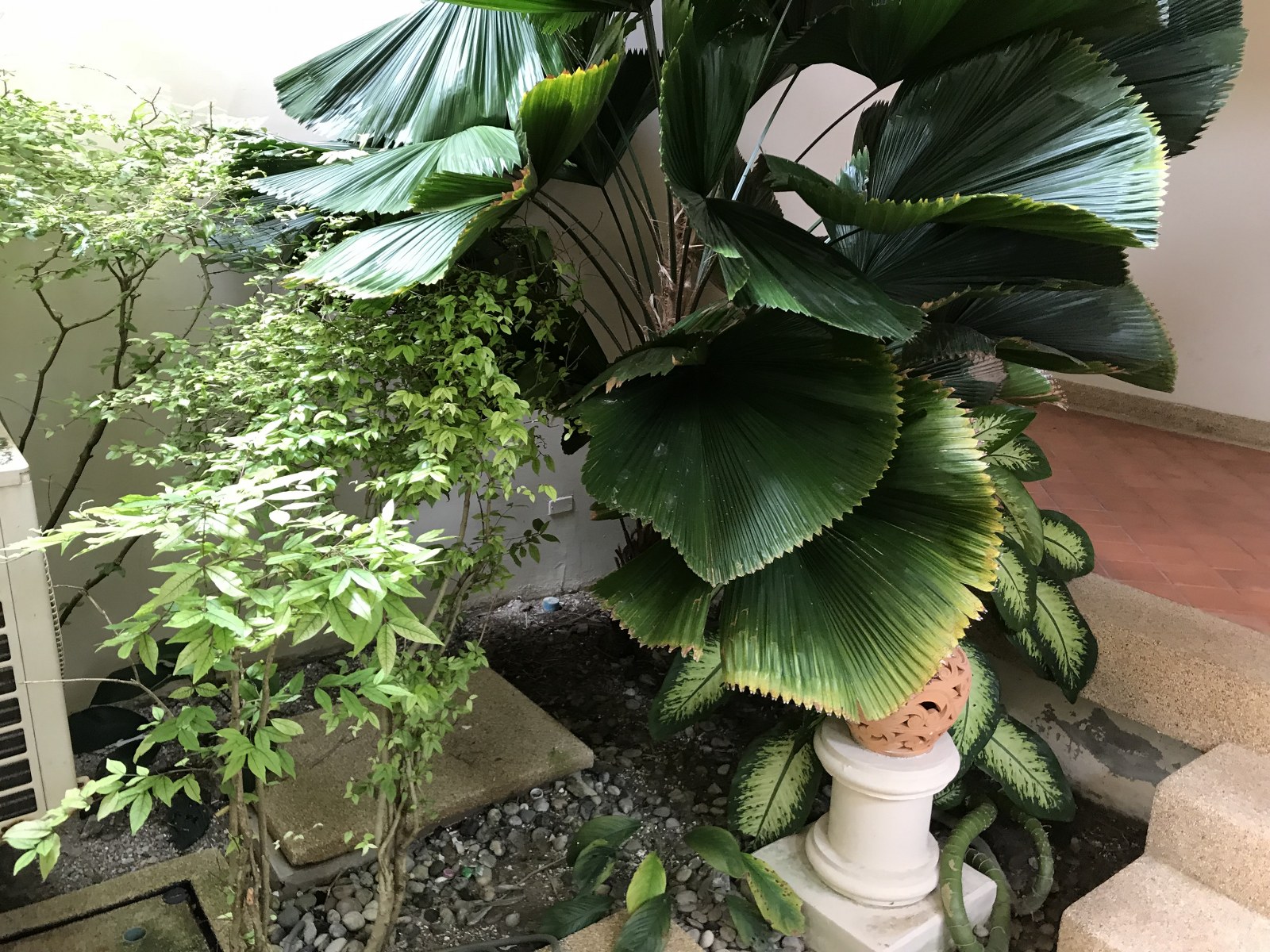 3BEDROOM TOWNHOME IN LAGUNA FAIRWAYS (SUC-1090) image