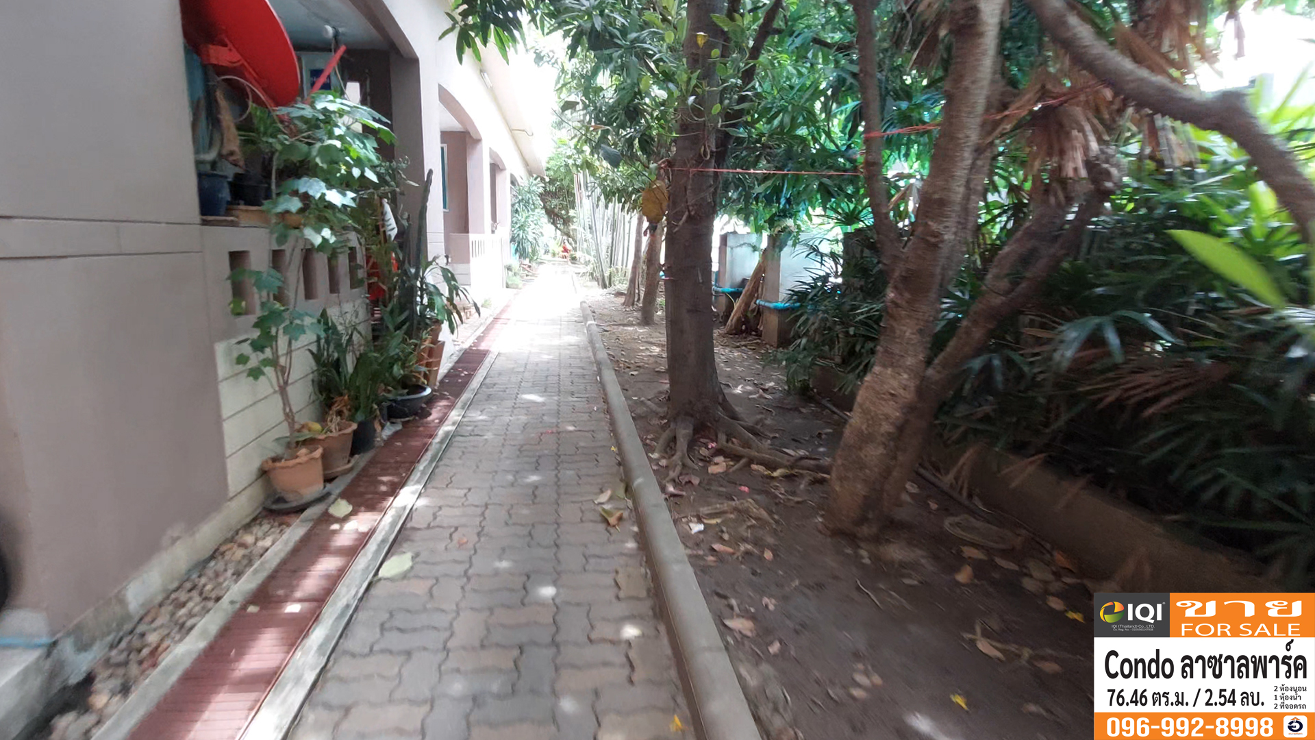 Lasalle park condominium image