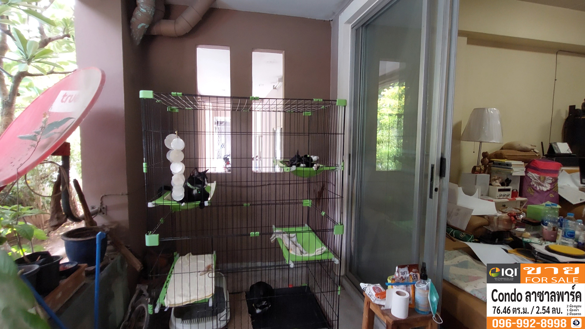 Lasalle park condominium image