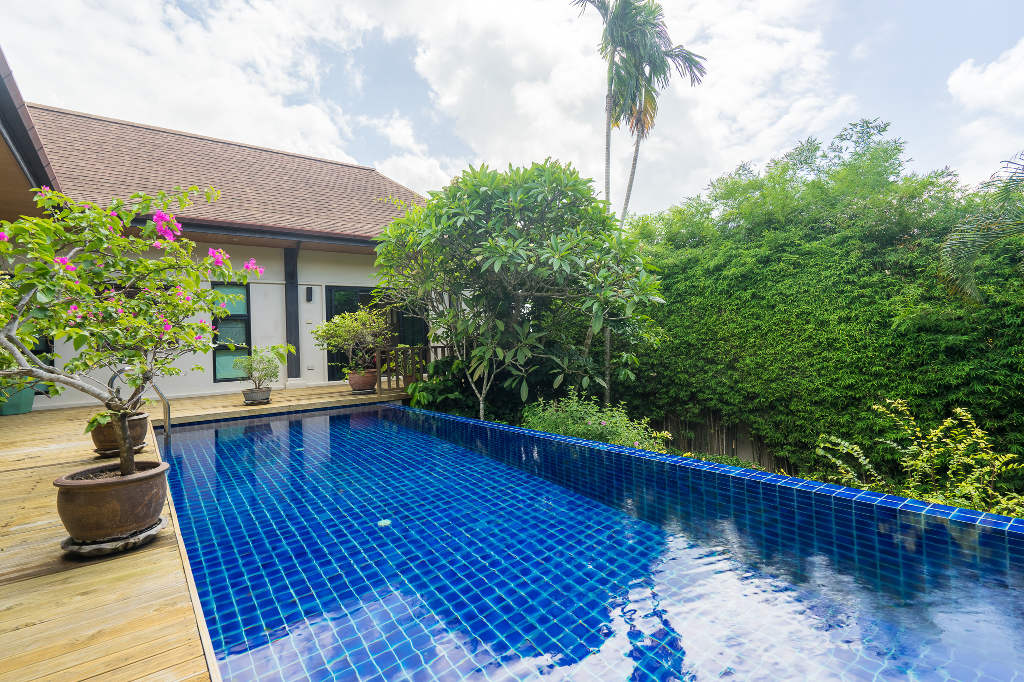 Tropical villa overlooking the hills of Nai Harn (SUC-1102) image