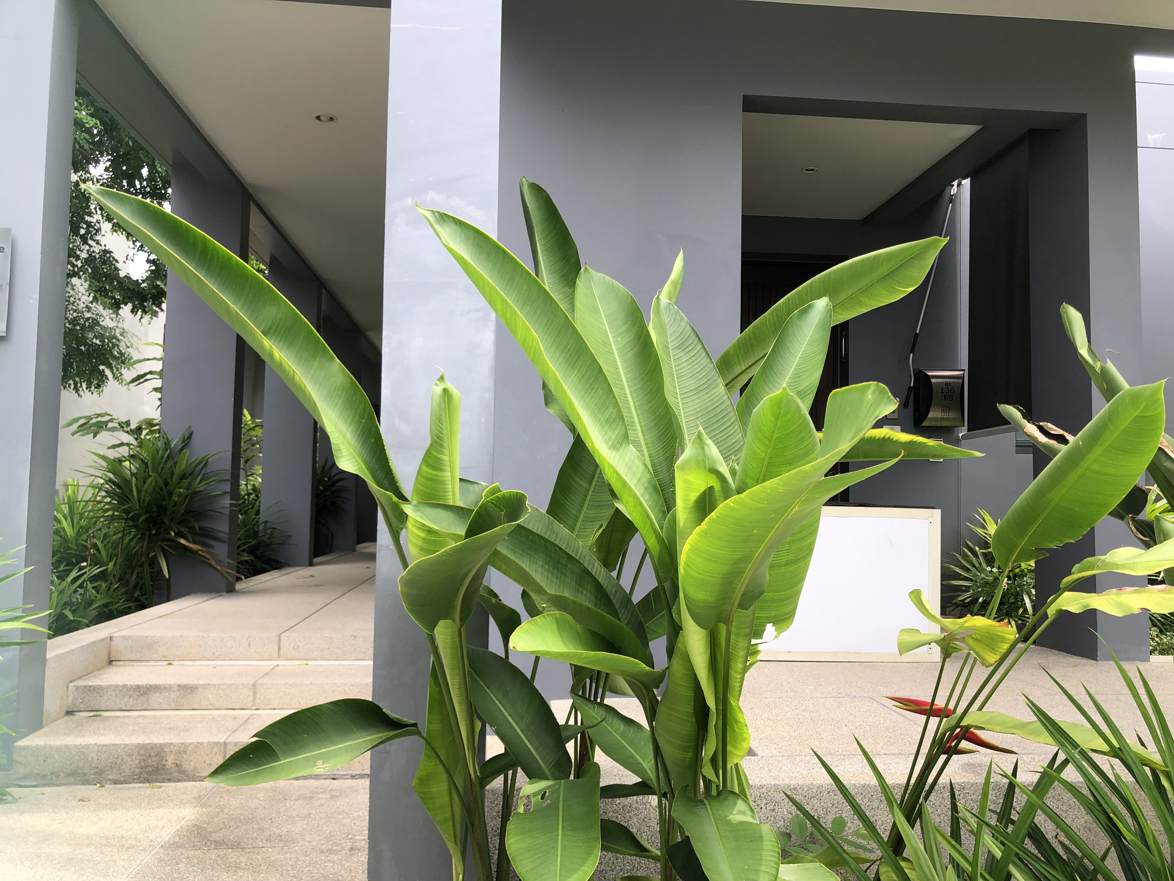 Modern comfort 2 bedrooms villa (SUC-1104) image