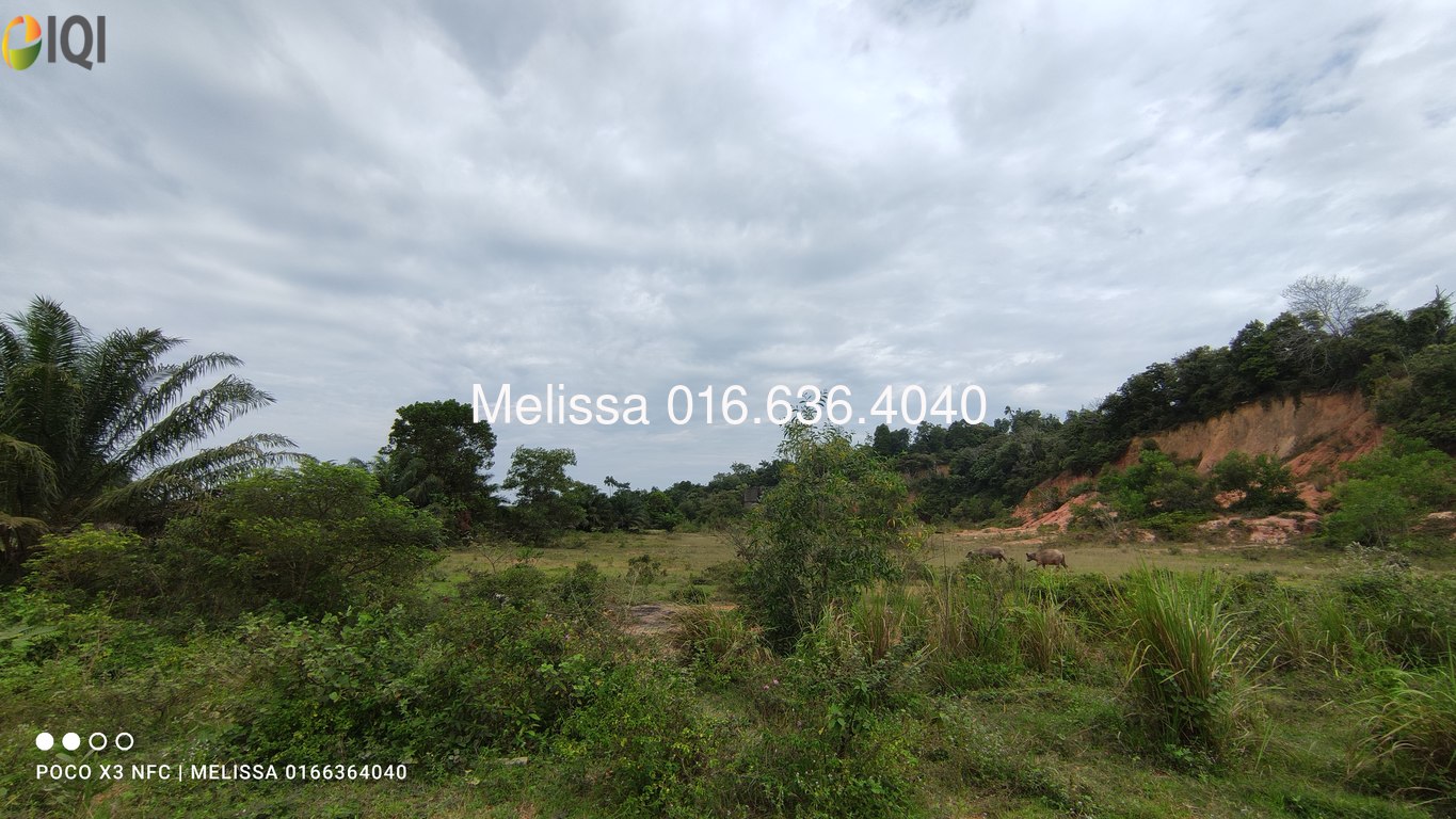 Balok, Sungai Karang image