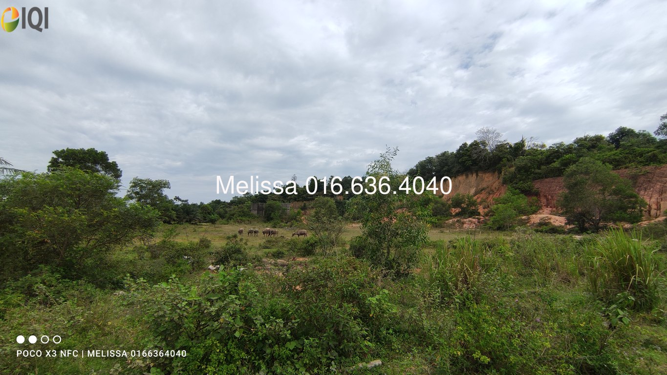 Balok, Sungai Karang image