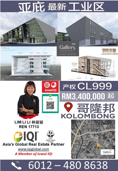THE GALLERY 