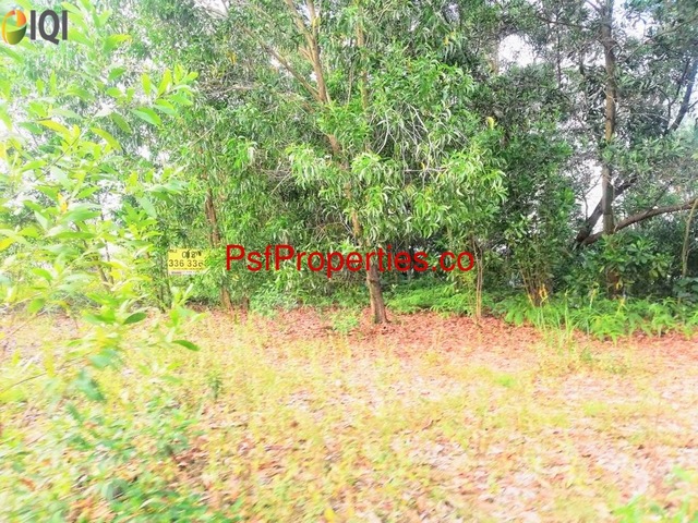 Cahaya SPK image