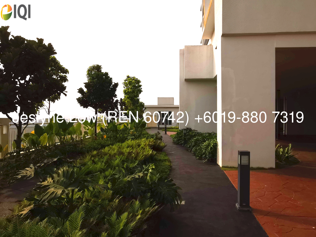 Saville Cheras image