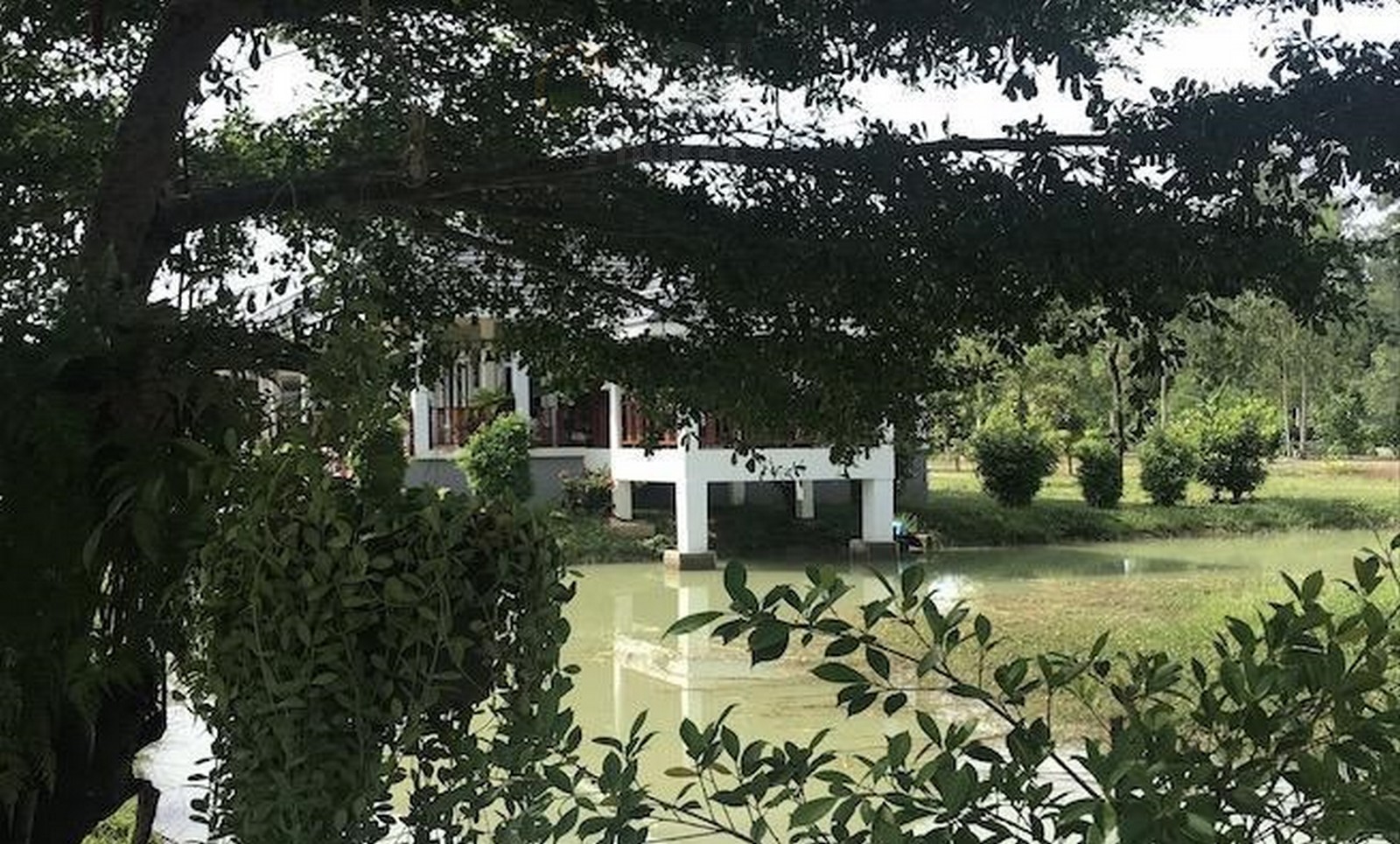 Five Bedrooms Plus TROPICAL RESORT FOR SALE near Natai Beach, Khok Kloi, Phang Nga(SUD-1135) image