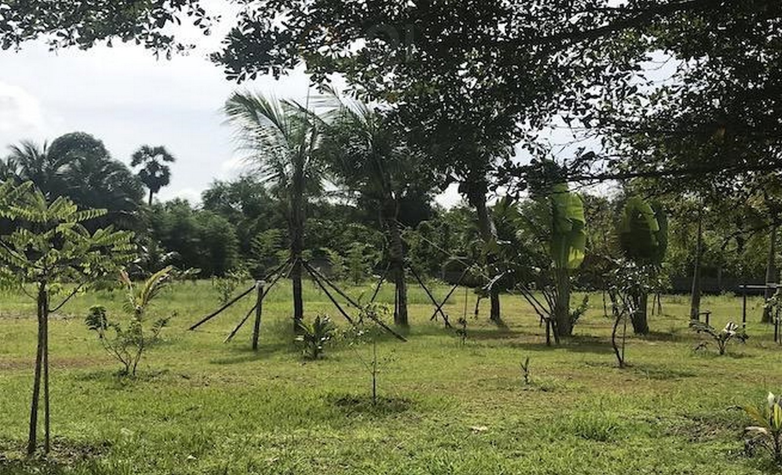 Five Bedrooms Plus TROPICAL RESORT FOR SALE near Natai Beach, Khok Kloi, Phang Nga(SUD-1135) image