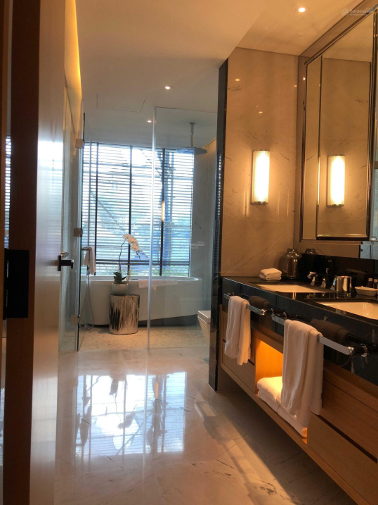 The last Penthouse at The Albany Thao Dien in District 2  image