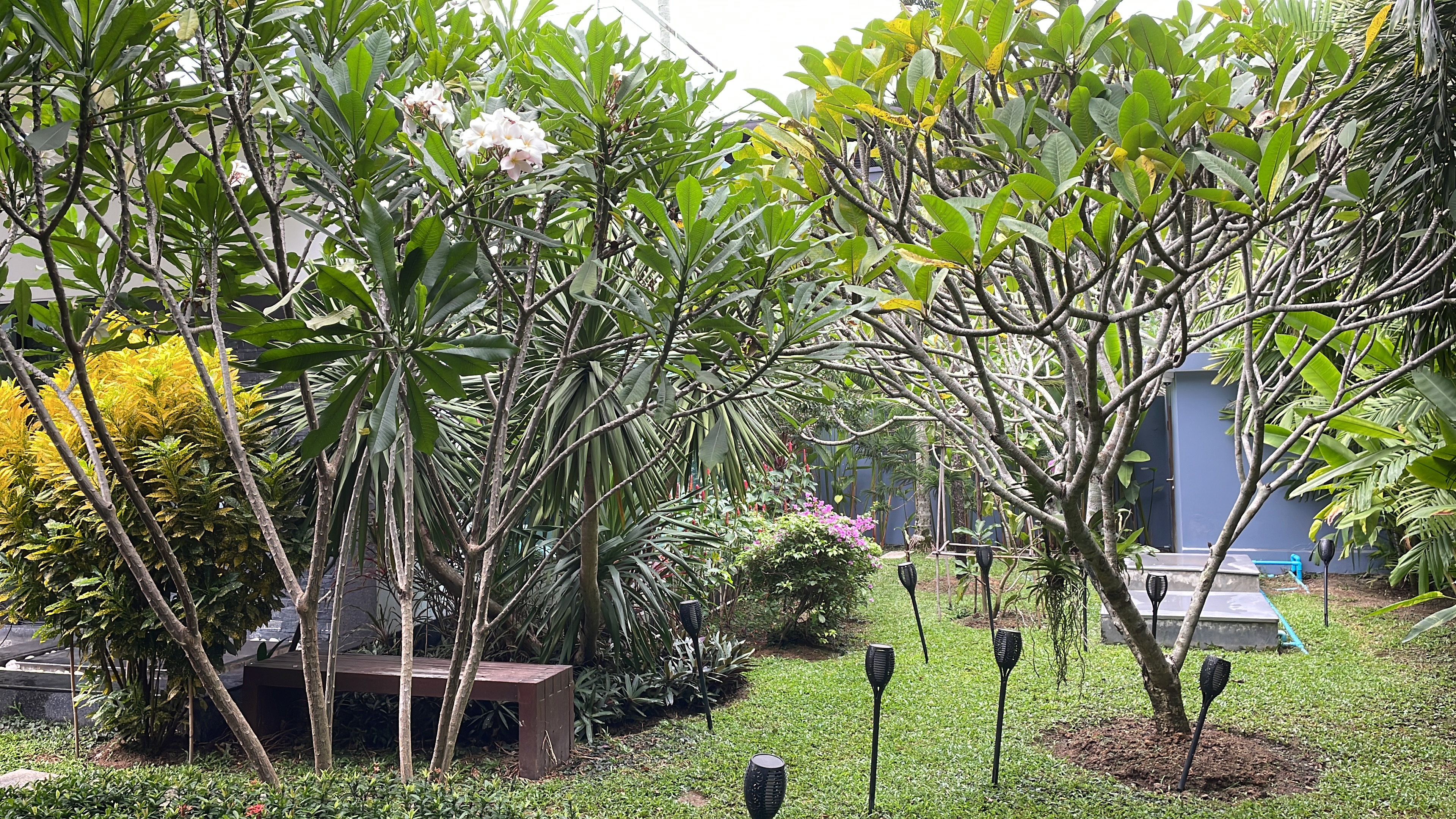 Modern Pool Villa at Diamond Villa Near Laguna Phuket for Sale (SUD-1136) image