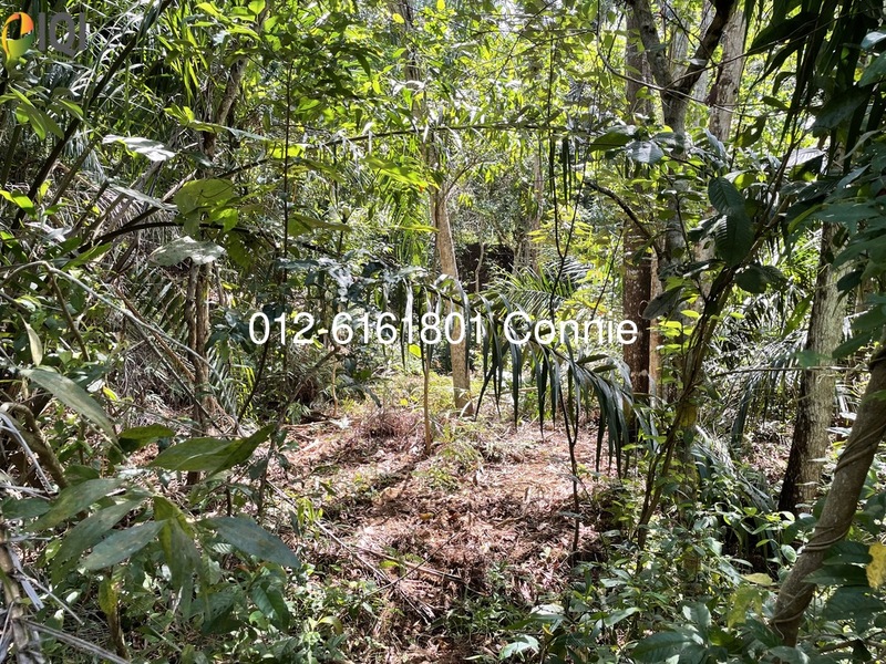 TAMAN TUANKU JAAFAR IQI Global