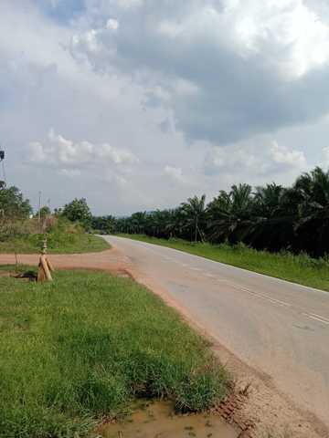 Simpang Pertang Negeri Sembilan Agriculture land for sale image