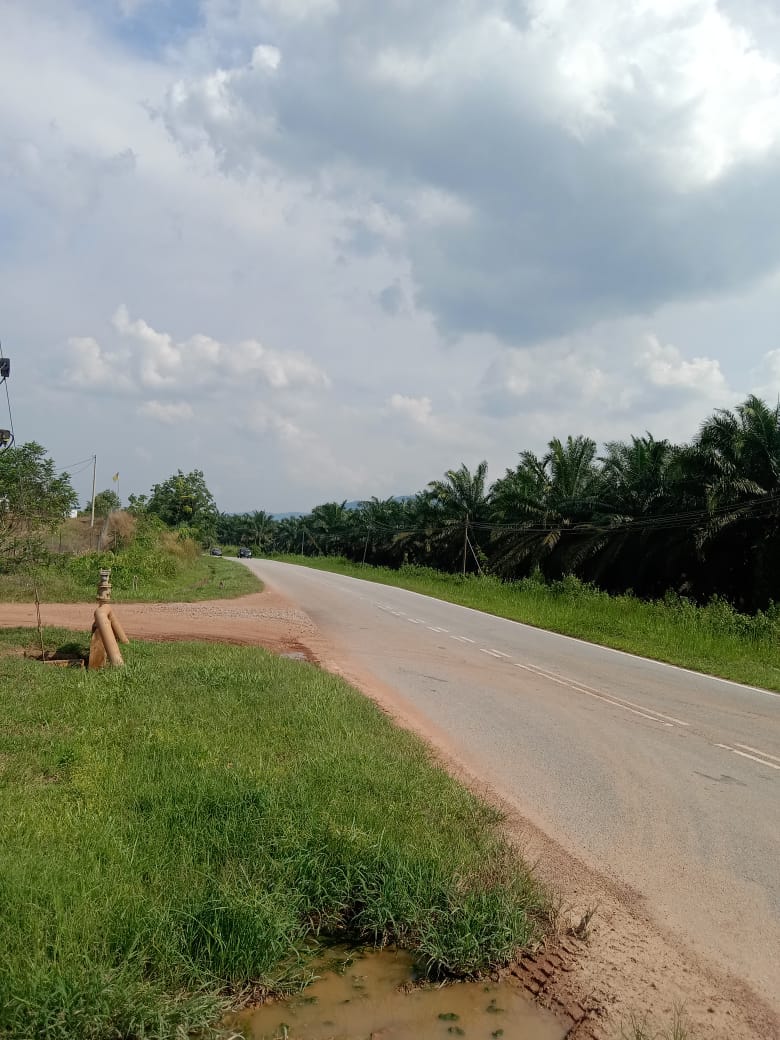 Simpang Pertang Negeri Sembilan Agriculture land for sale image
