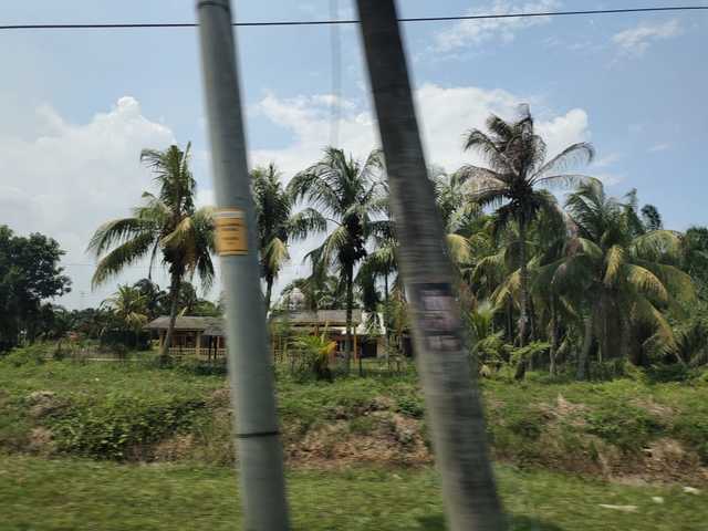 Kapar image