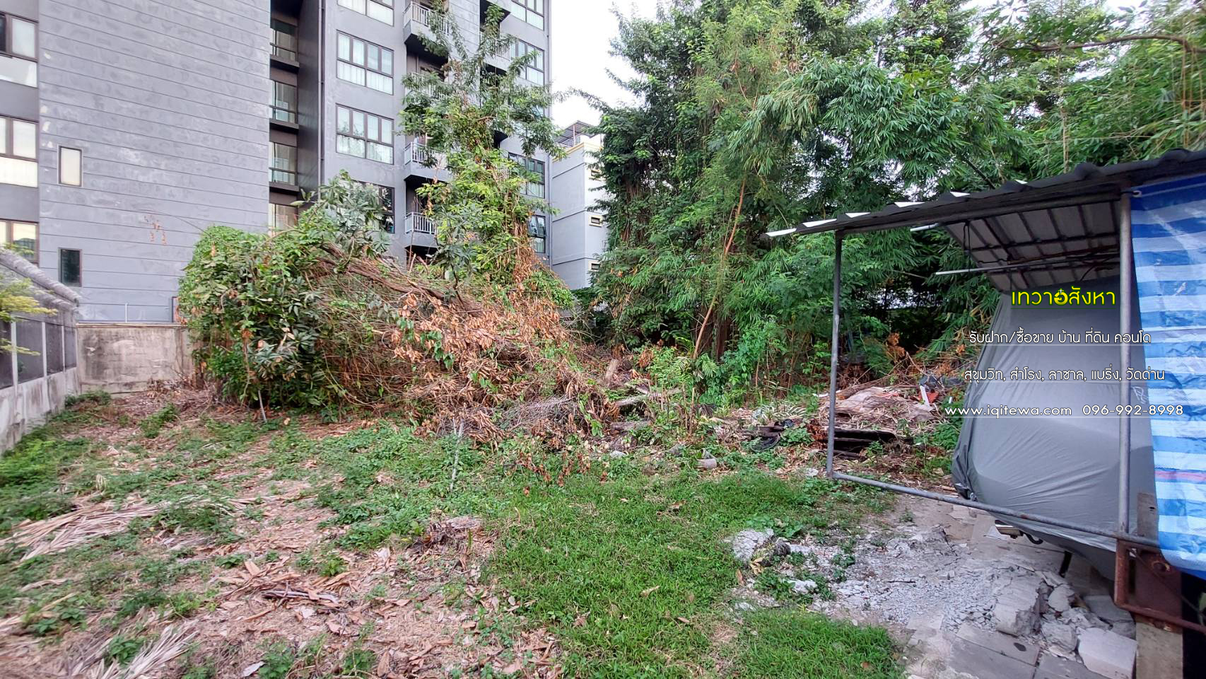 land for sale at Soi lasalle Sukhumvit Rd. image