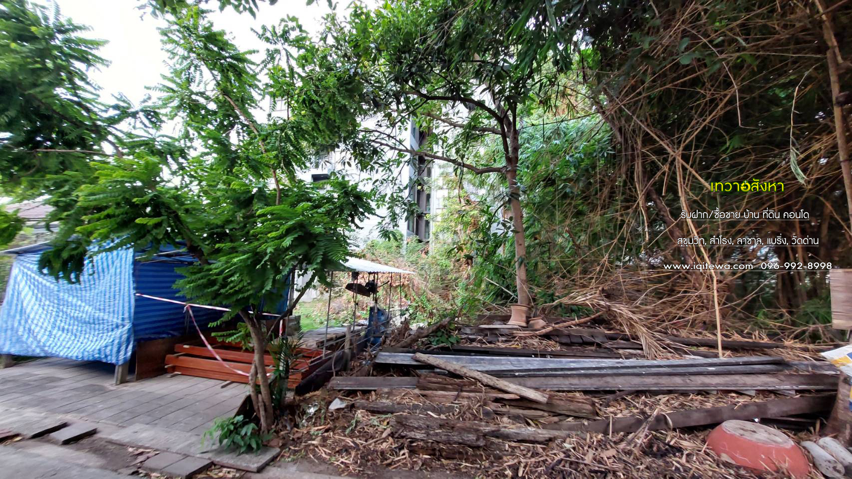 land for sale at Soi lasalle Sukhumvit Rd. image