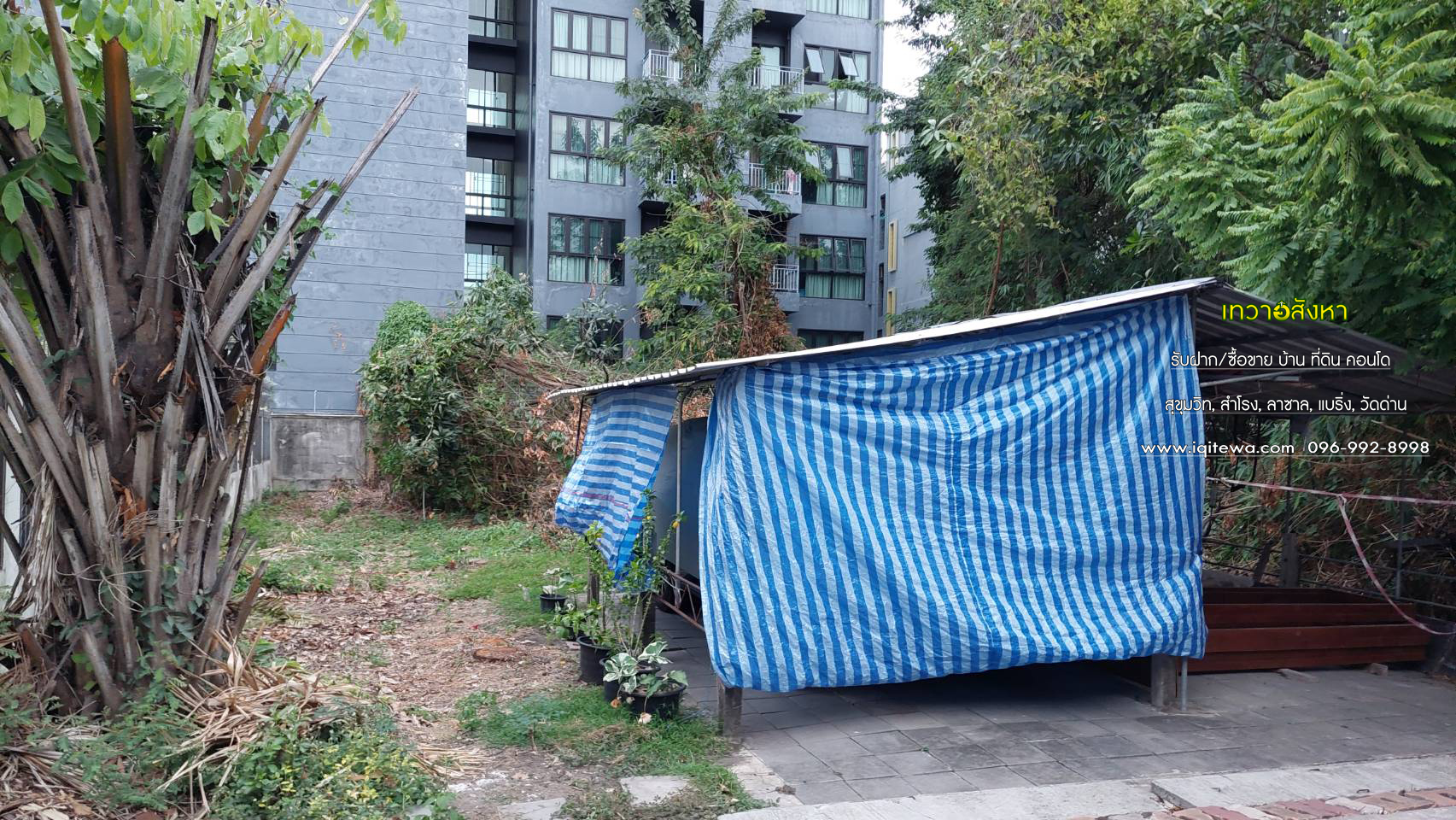 land for sale at Soi lasalle Sukhumvit Rd. image