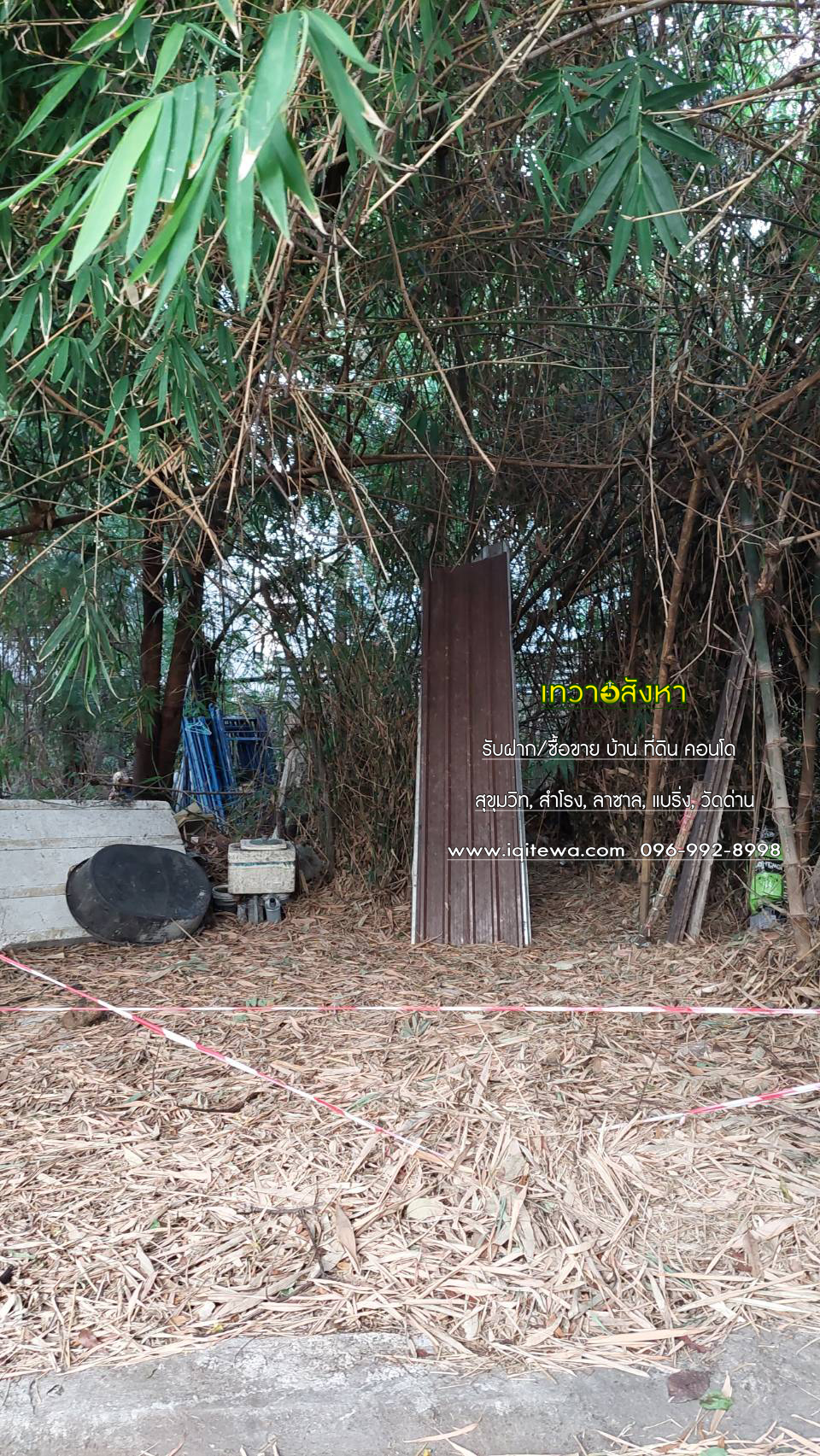 land for sale at Soi lasalle Sukhumvit Rd. image