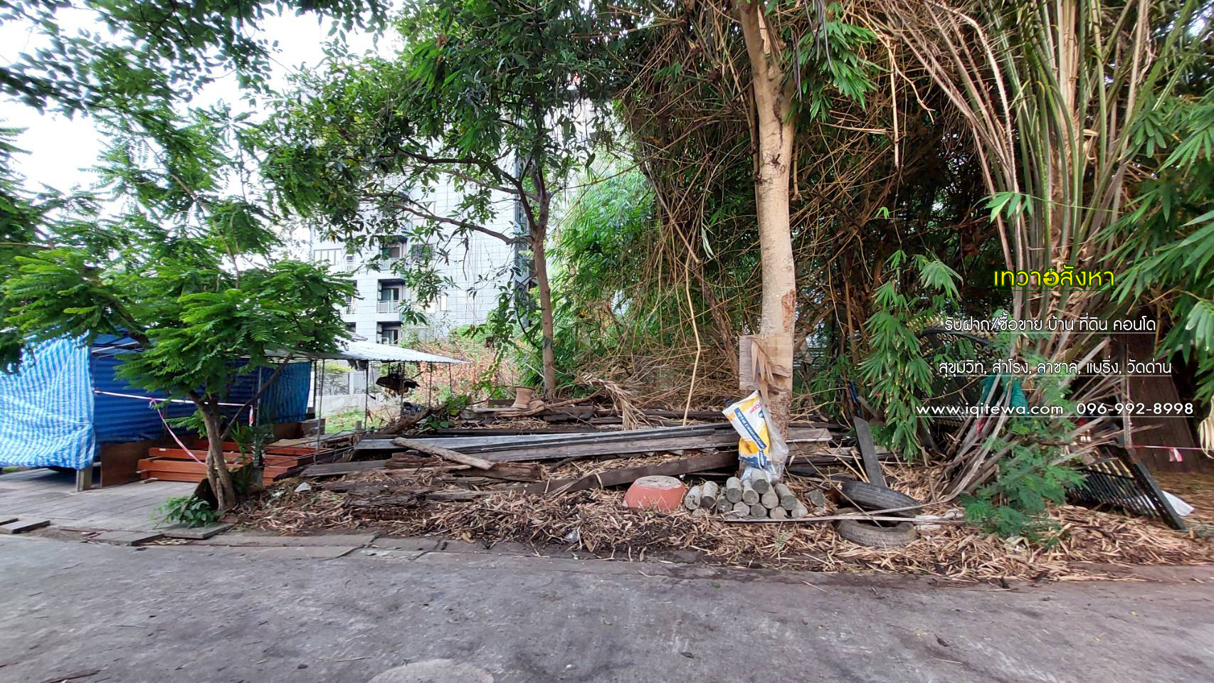 land for sale at Soi lasalle Sukhumvit Rd. image