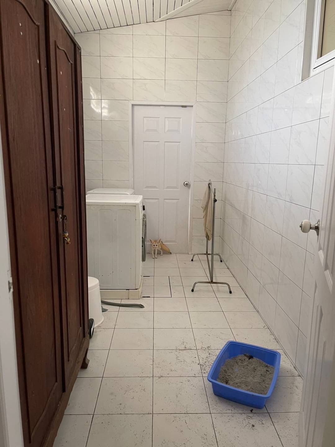 House for sale, own build in downtown at Bearing 41 image