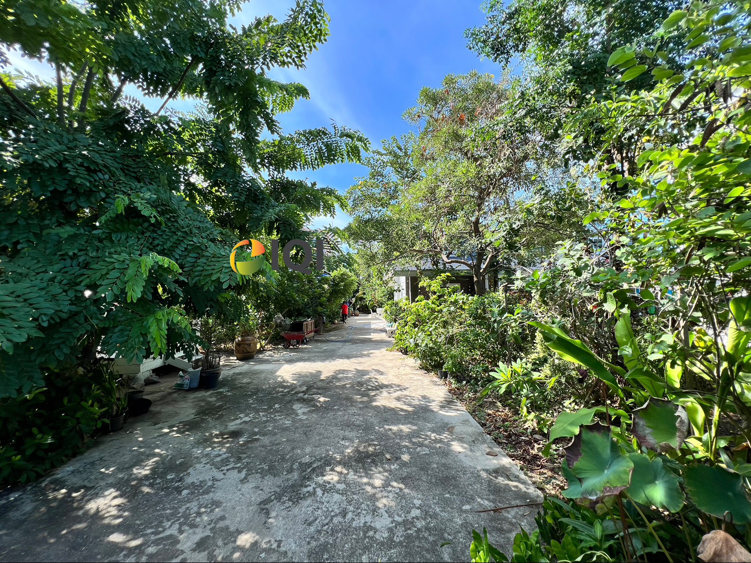 Sale and Rent own built single storey house at the entrance of Soi Bearing 58 image