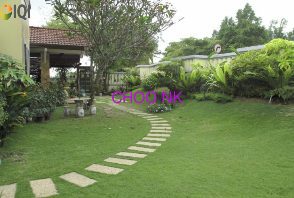 Bukit Jelutong image