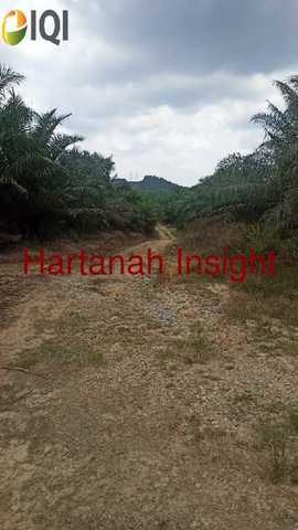 Agricultural Land, Mukim Sabai, Bentong, Pahang image
