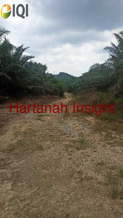 Agricultural Land, Mukim Sabai, Bentong, Pahang image