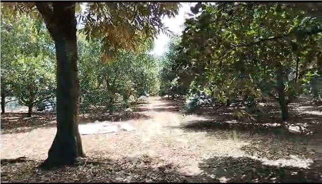 11 acres Mixed Development zoning Land|Mantin| Negeri Sembilan image