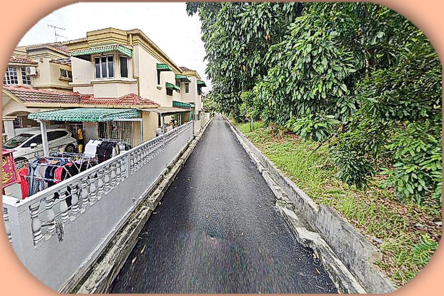 Seksyen 27, Shah Alam (Taman Bunga Negara) image