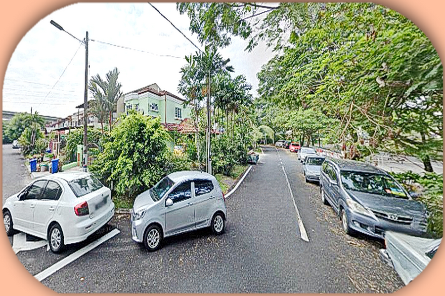 Seksyen 27, Shah Alam (Taman Bunga Negara) image