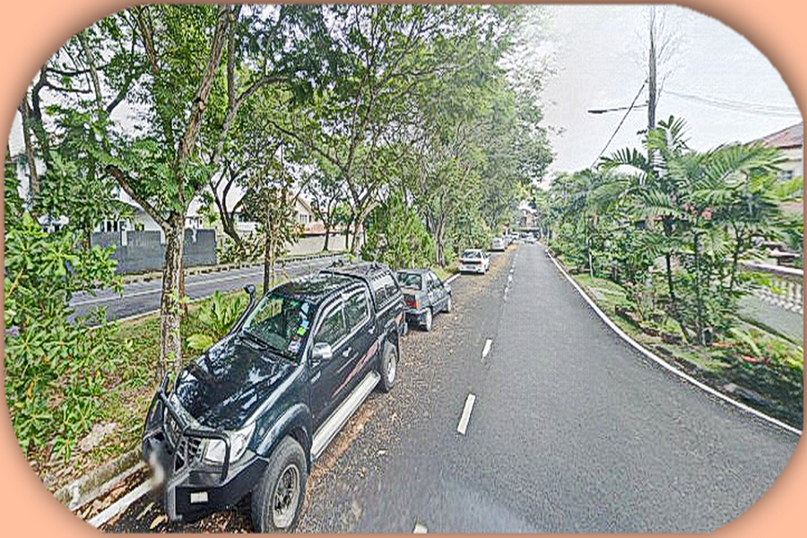 Seksyen 27, Shah Alam (Taman Bunga Negara) image