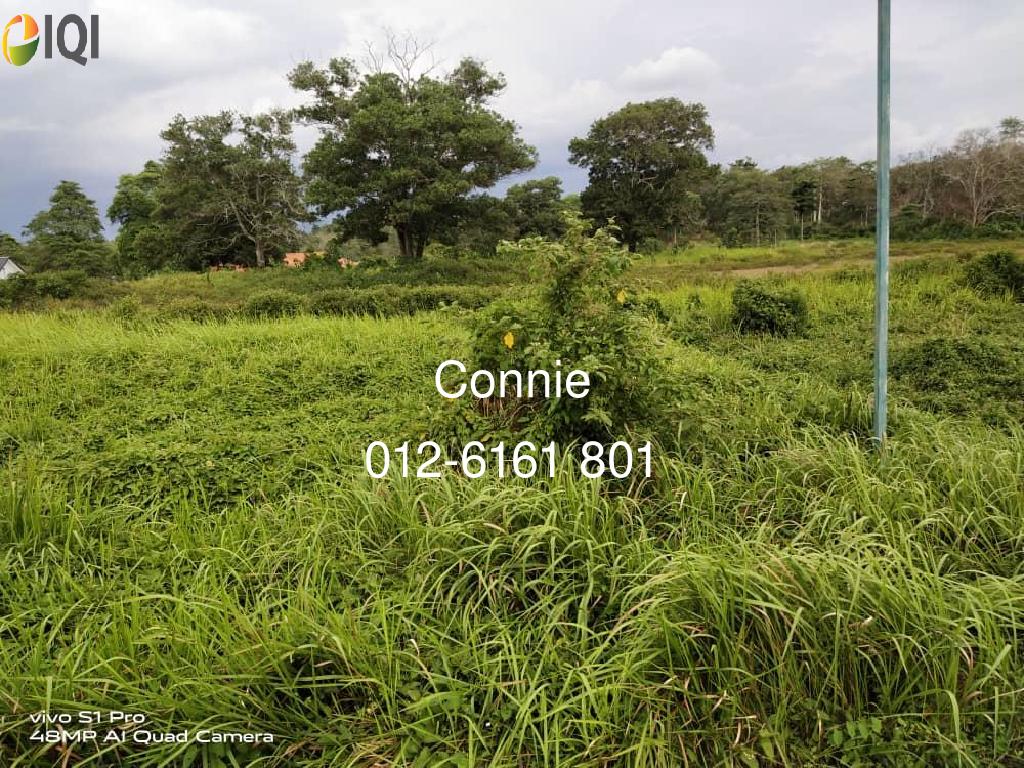 COLLEGE HEIGHTS GARDEN RESORT@MANTIN image