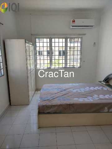 Golden Showers at Klebang, Melaka image