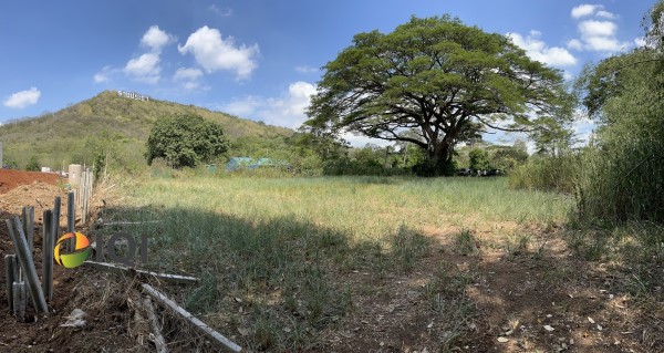 Available land for sale at the entrance to Rachapracha Resort Pakchong, Pak Chong District. image
