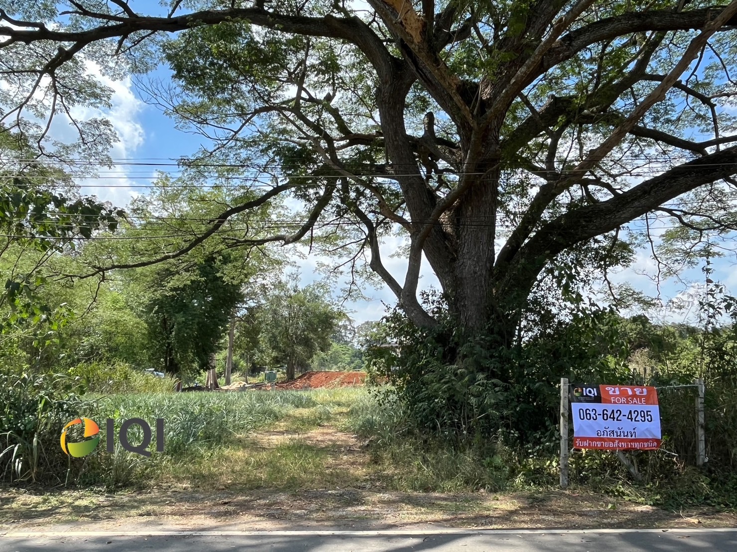 Available land for sale at the entrance to Rachapracha Resort Pakchong, Pak Chong District. image