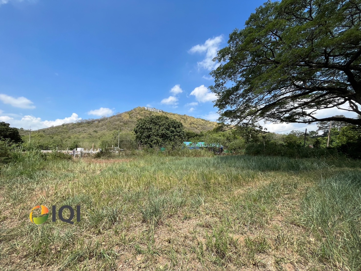 Available land for sale at the entrance to Rachapracha Resort Pakchong, Pak Chong District. image