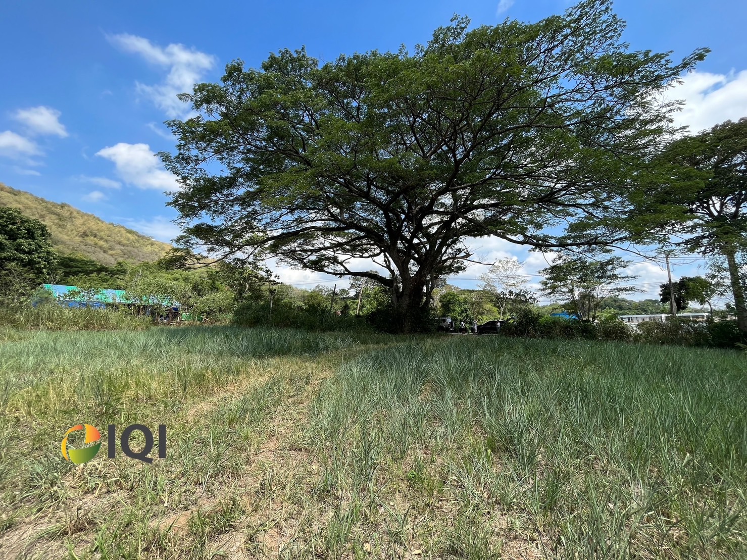 Available land for sale at the entrance to Rachapracha Resort Pakchong, Pak Chong District. image