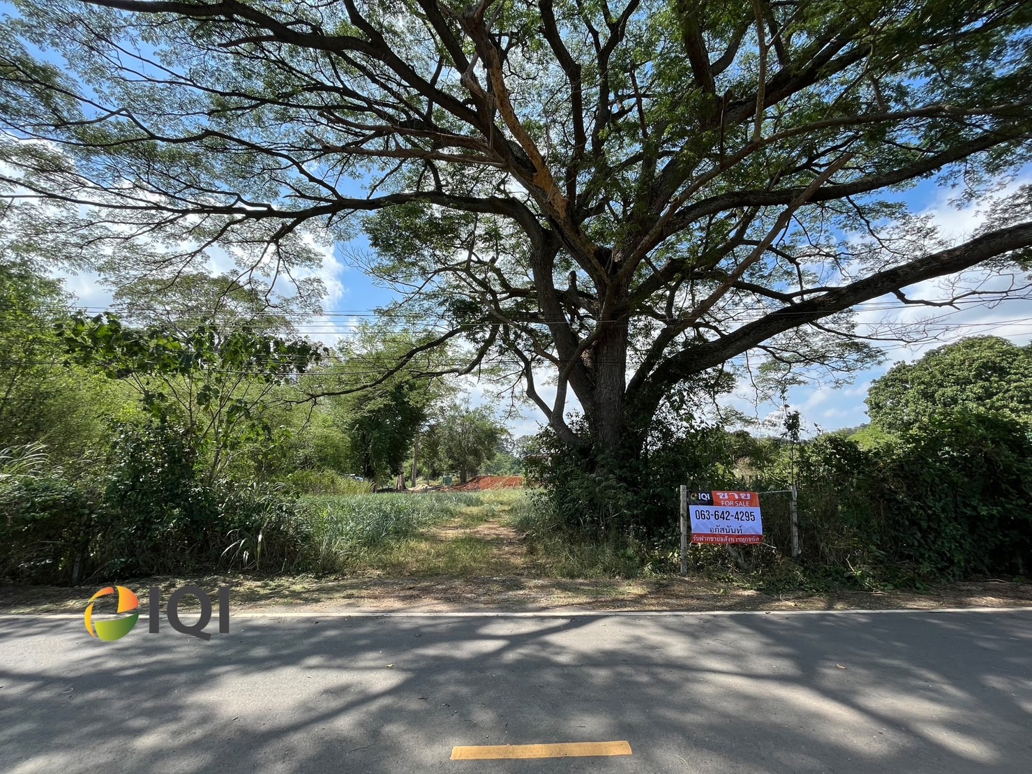 Available land for sale at the entrance to Rachapracha Resort Pakchong, Pak Chong District. image