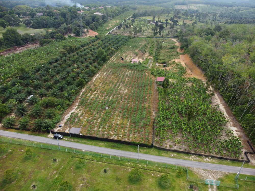 Very Good Landscape and Accessibility Freehold Agriculture Land at Tehel Melaka for Sales image