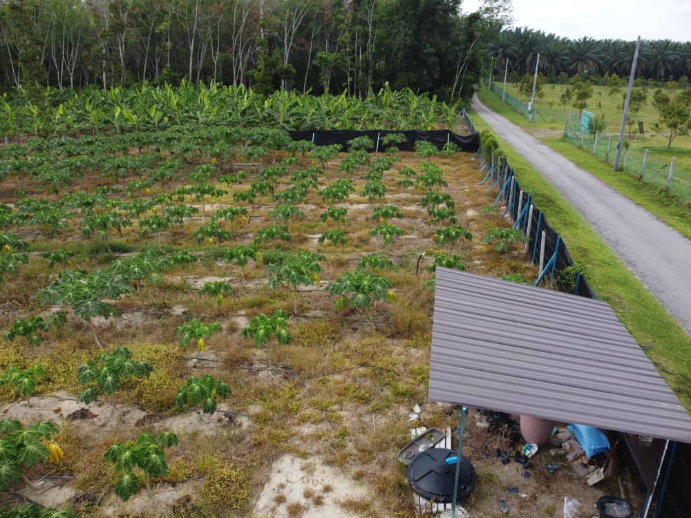 Very Good Landscape and Accessibility Freehold Agriculture Land at Tehel Melaka for Sales image