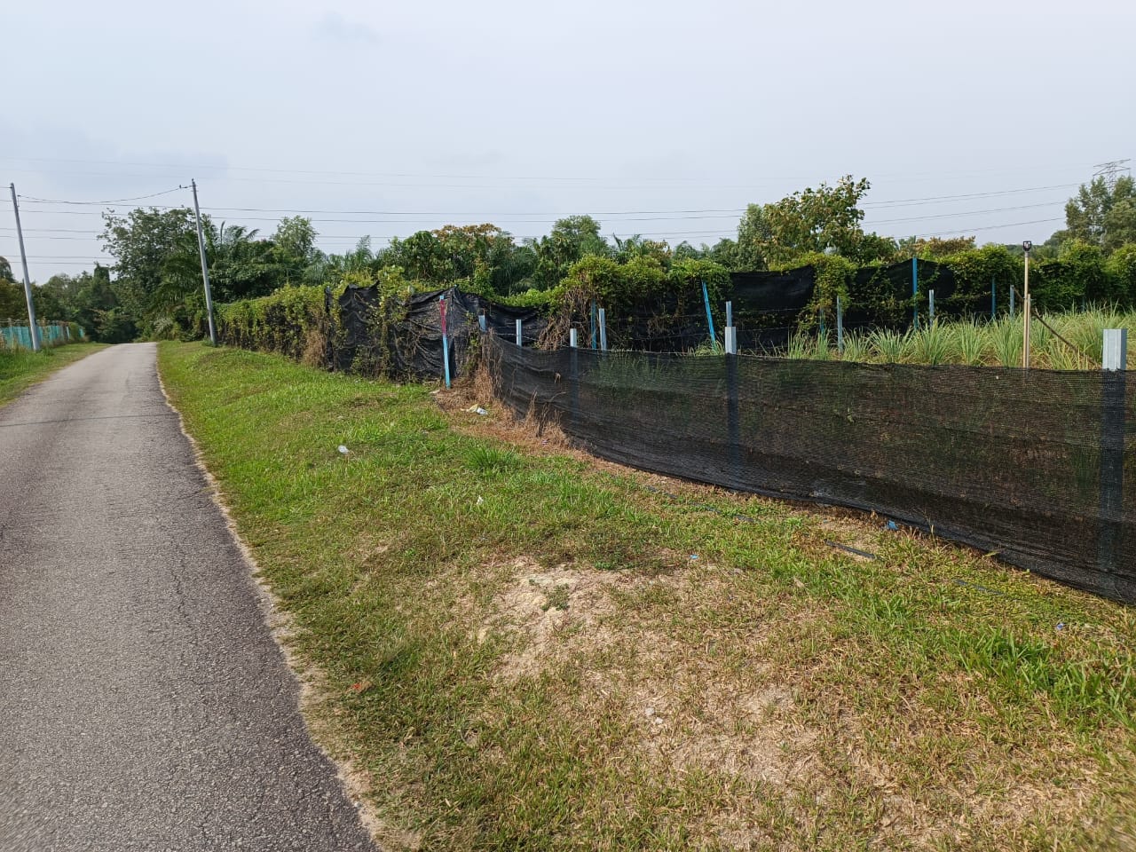 Very Good Landscape and Accessibility Freehold Agriculture Land at Tehel Melaka for Sales image