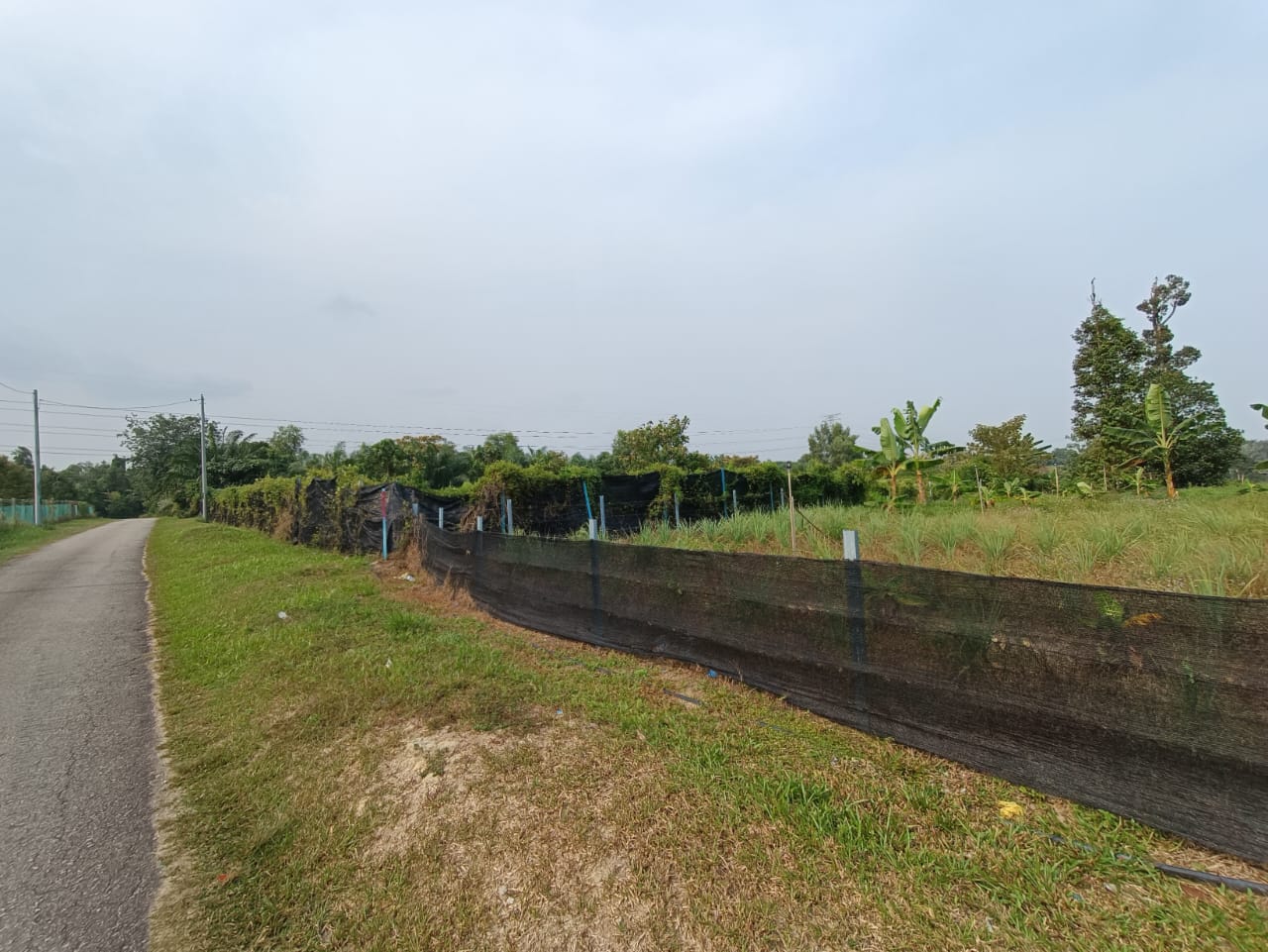 Very Good Landscape and Accessibility Freehold Agriculture Land at Tehel Melaka for Sales image