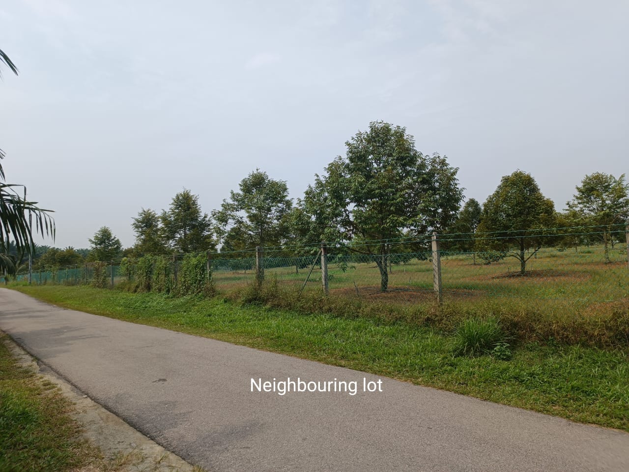 Very Good Landscape and Accessibility Freehold Agriculture Land at Tehel Melaka for Sales image